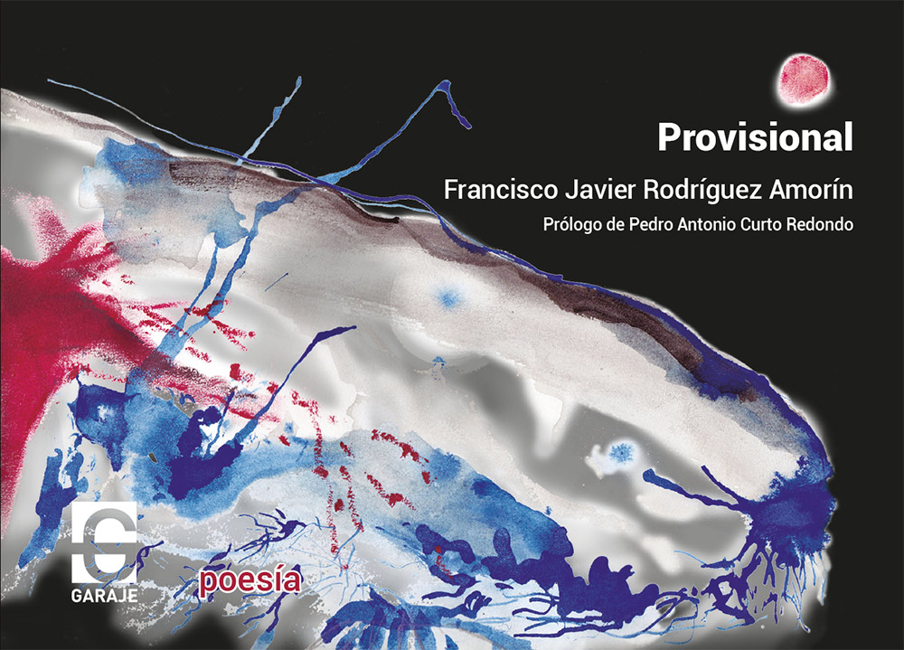 <b>Provisional</b> <br />Francisco Javier Rodríguez Amorín