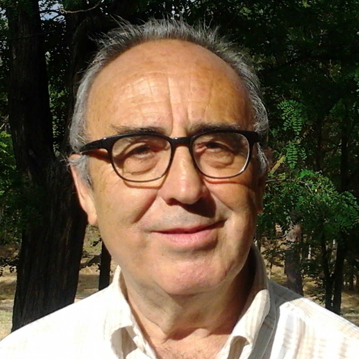 Bonifacio de la Cuadra